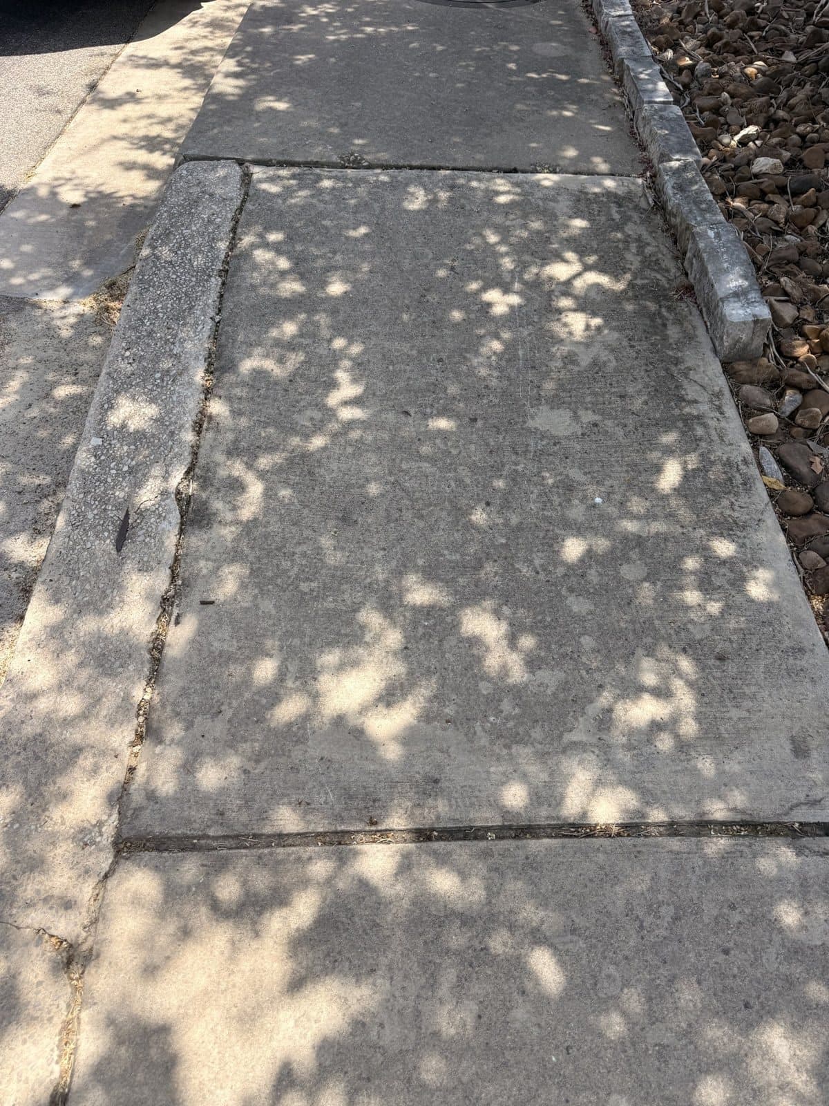Front walkway before pressure washing, grimy concrete under dappled shade
